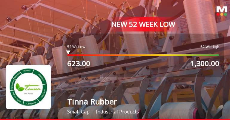 Tinna Rubber & Infrastructure Ltd Falls to 52-Week Low Amid Market Underperformance
