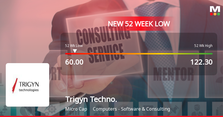 Trigyn Technologies Ltd Stock Falls to 52-Week Low Amid Continued Downtrend