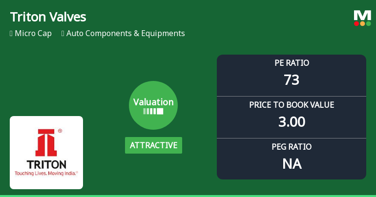 Triton Valves Ltd: Valuation Shifts Signal Renewed Price Attractiveness Amid Mixed Returns