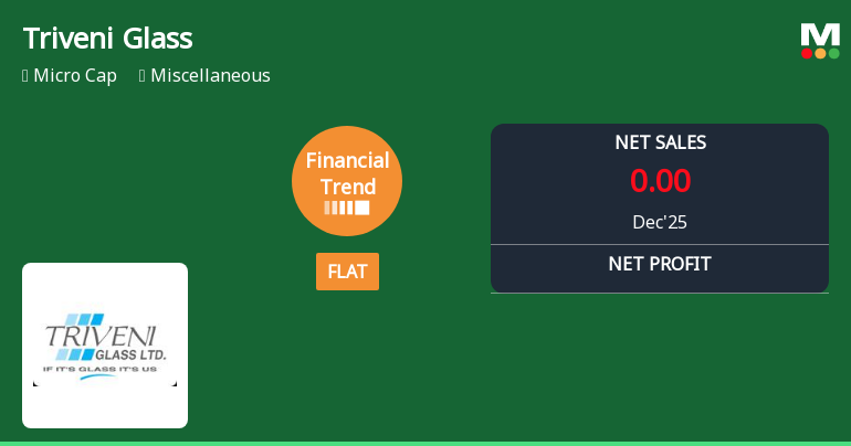 Triveni Glass Ltd Reports Stabilised Quarterly Performance Amid Lingering Financial Challenges