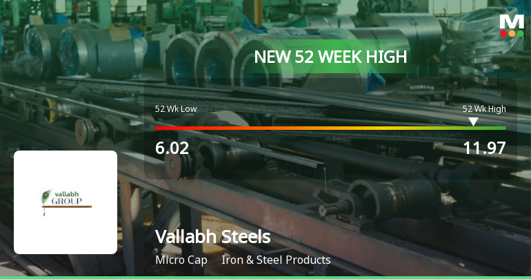 Vallabh Steels Ltd Hits New 52-Week High at Rs.11.97