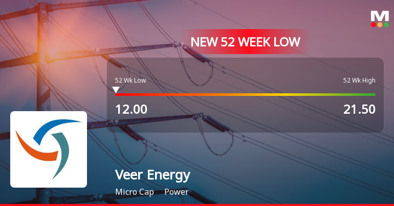 Veer Energy & Infrastructure Ltd Falls to 52-Week Low of Rs.12