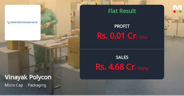 Vinayak Polycon Q3 FY26: Margin Compression Deepens Amid Revenue Decline