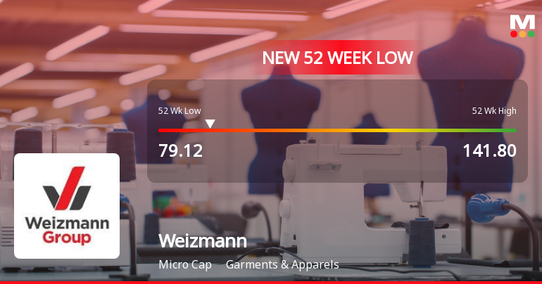 Weizmann Ltd Stock Falls to 52-Week Low Amidst Prolonged Underperformance