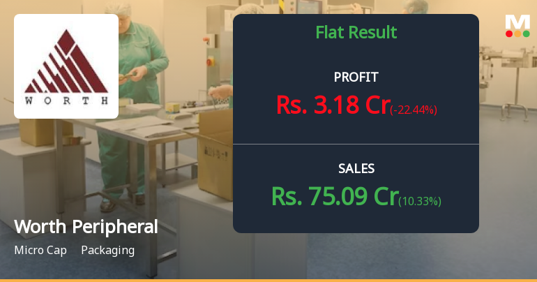 Worth Peripherals Q3 FY26: Profit Surge Masks Underlying Growth Concerns