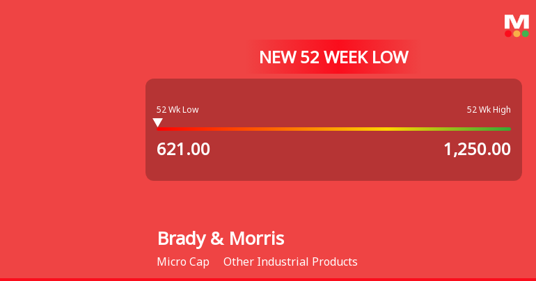 Markets Rally, But Brady & Morris Engineering Company Ltd Sinks to 52-Week Low in Stock-Specific Sell-Off
