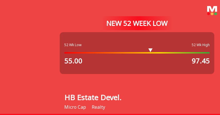 Markets Rally, But HB Estate Developers Ltd Sinks to 52-Week Low in Stock-Specific Sell-Off