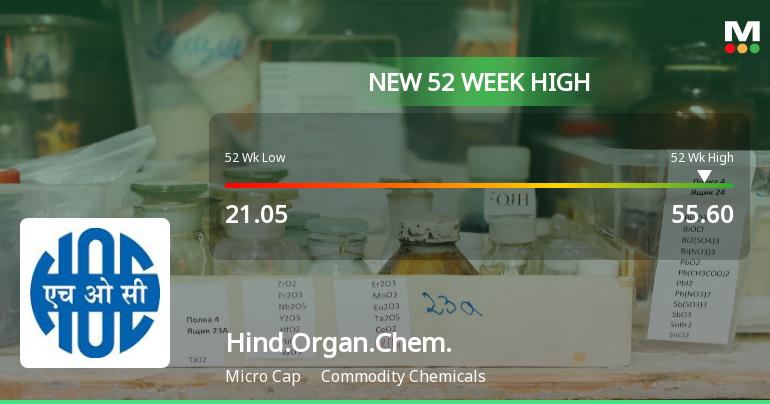 Broad-Based Technical Strength Lifts Hindustan Organic Chemicals Ltd to 52-Week High of Rs 55.6
