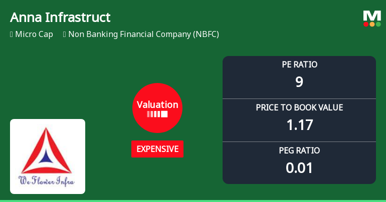 Anna Infrastructures Ltd Valuation Shifts Amid Mixed Market Performance