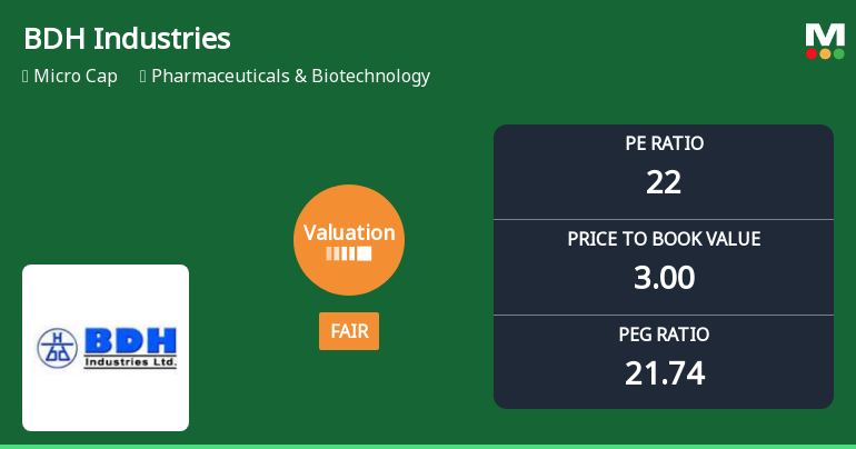 BDH Industries Ltd Valuation Shifts Signal Renewed Price Attractiveness Amid Sector Dynamics