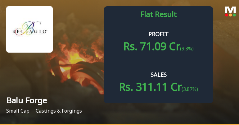 Balu Forge Industries Q3 FY26: Strong Growth Momentum Masked by Valuation Concerns