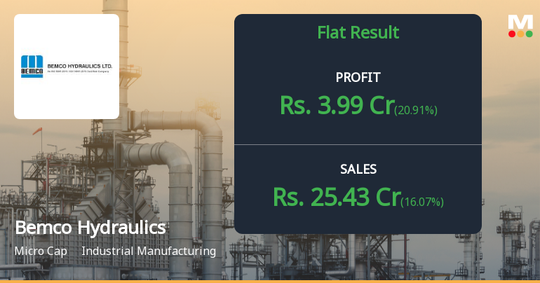 Bemco Hydraulics Q2 FY26: Strong Profit Surge Masks Underlying Valuation Concerns