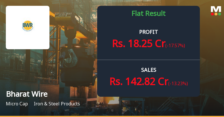 Bharat Wire Ropes Q3 FY26: Profit Surge Masks Revenue Decline Concerns