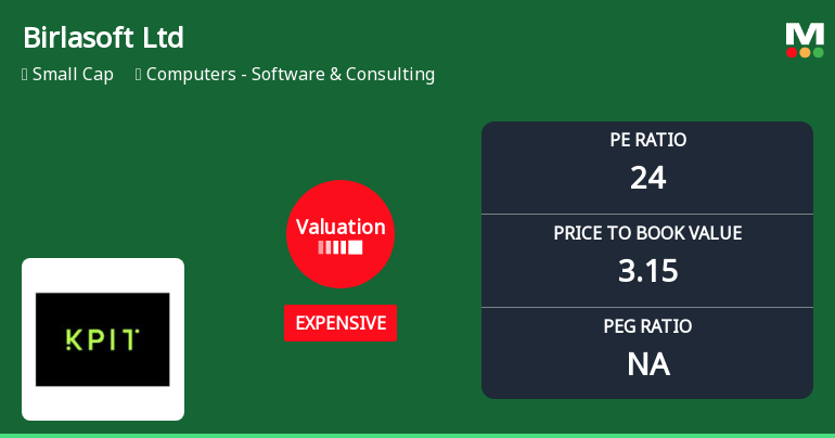 Birlasoft Ltd Valuation Shifts Signal Changing Market Perception