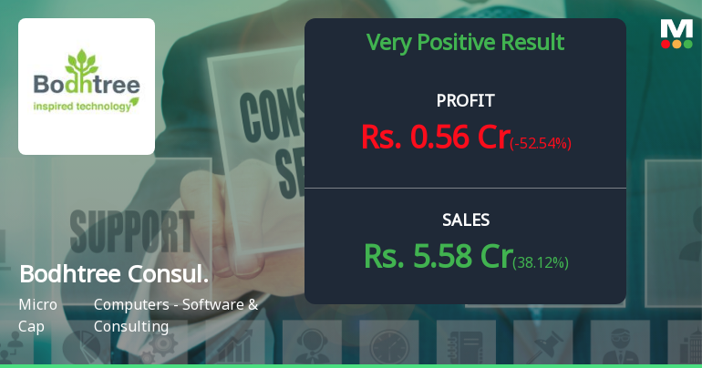 Bodhtree Consulting Q3 FY26: Revenue Surge Masks Persistent Profitability Crisis
