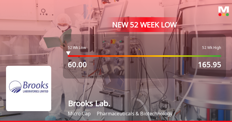 Brooks Laboratories Ltd Stock Falls to 52-Week Low of Rs 60