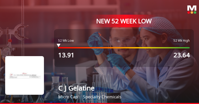 C J Gelatine Products Ltd Falls to 52-Week Low Amidst Continued Underperformance