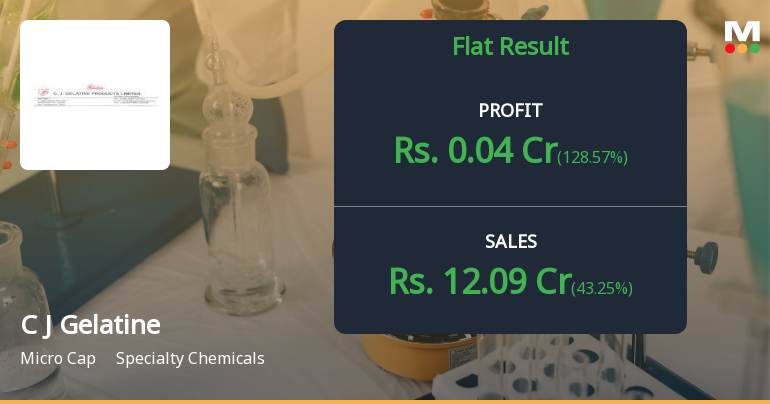 C J Gelatine Products Q2 FY26: Modest Recovery Masks Deeper Structural Challenges