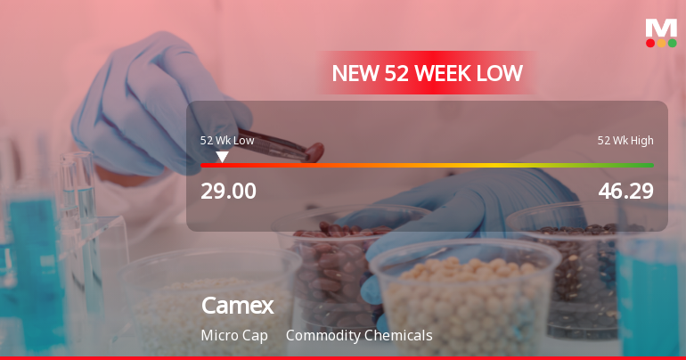 Camex Ltd Stock Falls to 52-Week Low of Rs.29 Amidst Continued Underperformance