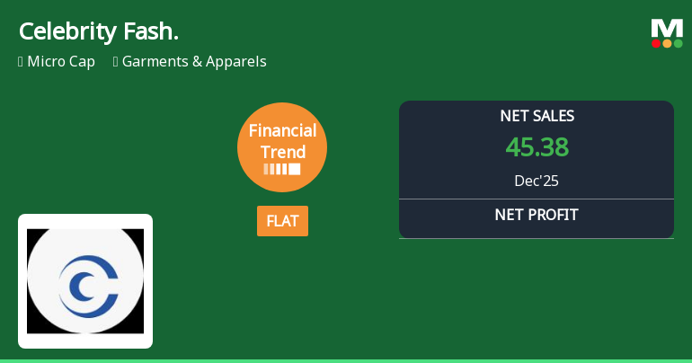 Celebrity Fashions Ltd Reports Flat Quarterly Performance Amidst Financial Struggles