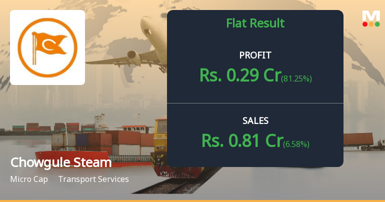 Chowgule Steamships Q3 FY26: Profitability Masks Deeper Operational Concerns