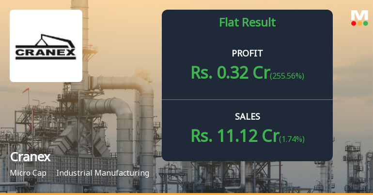 Cranex Ltd Q2 FY26: Profit Surge Masks Underlying Revenue Stagnation