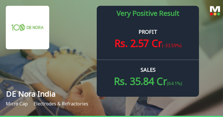 DE Nora India Q2 FY26: Sharp Revenue Decline Masks Underlying Profitability Concerns