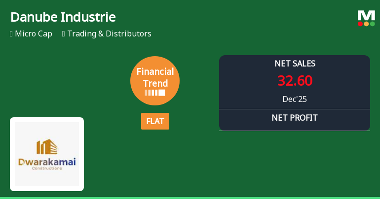 Danube Industries Ltd Reports Flat Quarterly Performance Amid Margin Gains