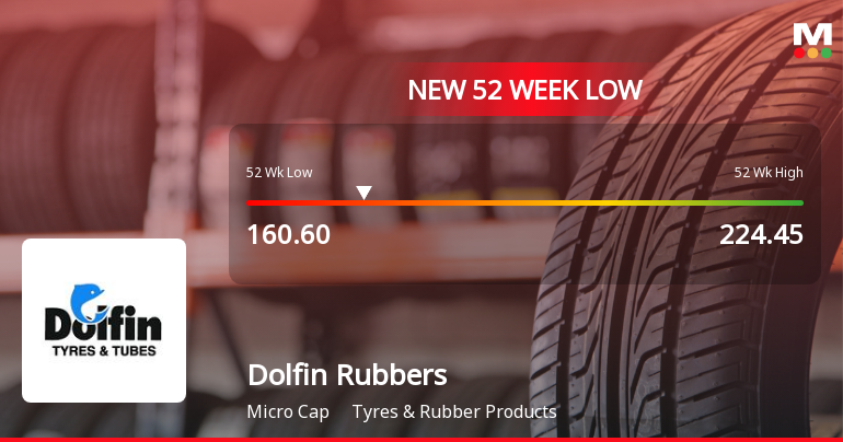 Dolfin Rubbers Ltd Falls to 52-Week Low Amid Market Downturn