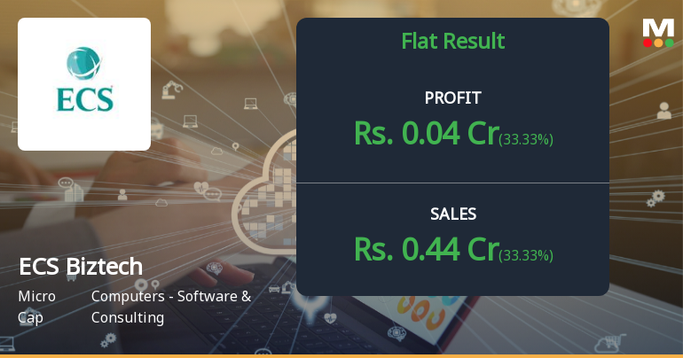 ECS Biztech Q3 FY26: Micro-Cap IT Firm Posts Modest Profit Amid Revenue Volatility