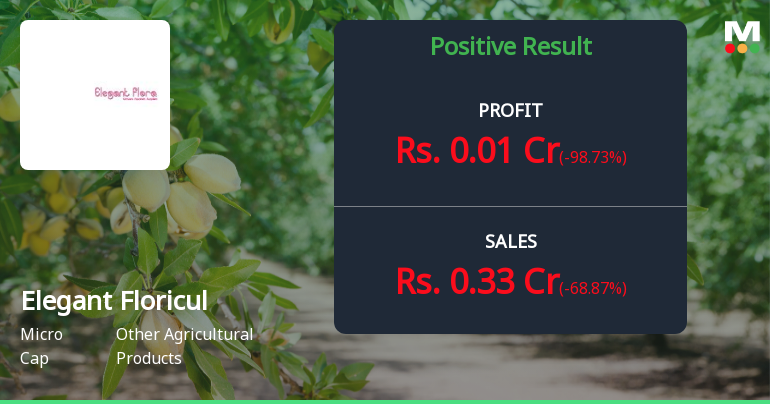 Elegant Floriculture Q3 FY26: Revenue Collapse Raises Serious Concerns