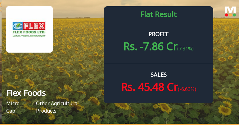Flex Foods Q2 FY26: Mounting Losses Signal Deep Structural Crisis