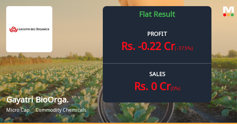 Gayatri BioOrganics Q3 FY26: Zero Revenue, Mounting Losses Signal Operational Paralysis