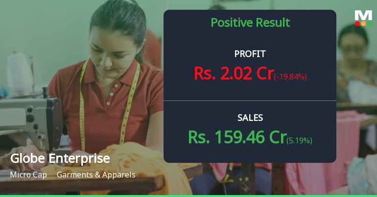 Globe Enterprises Q3 FY26: Profit Plunges 55% Despite Revenue Growth