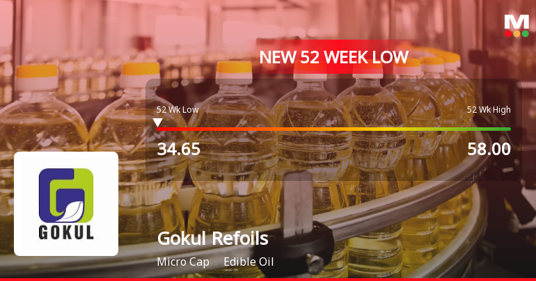 Gokul Refoils and Solvent Ltd Hits 52-Week Low Amidst Continued Downtrend