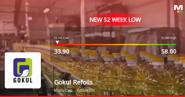 Gokul Refoils and Solvent Ltd Stock Hits 52-Week Low at Rs.33.9