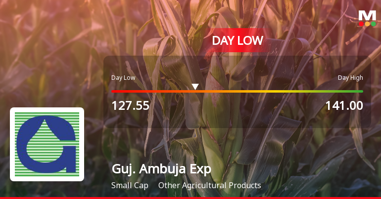 Gujarat Ambuja Exports Ltd Hits Intraday Low Amid Price Pressure