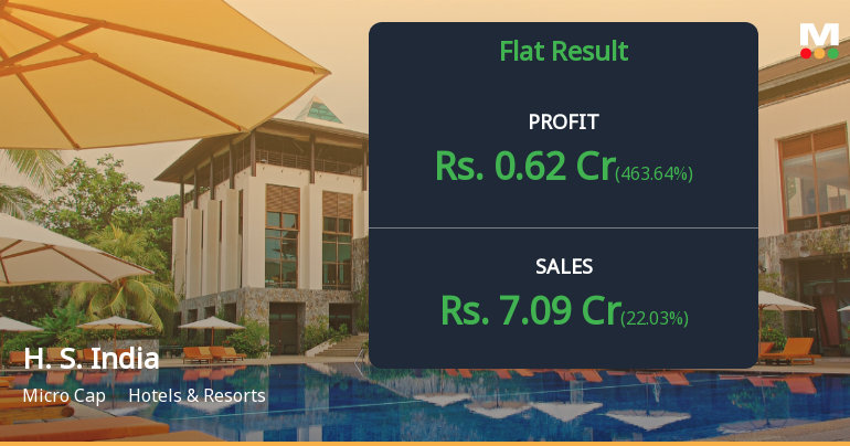 H. S. India Q3 FY26: Profit Surge Masks Underlying Revenue Weakness