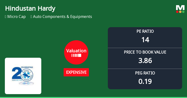 Hindustan Hardy Ltd Valuation Shifts Signal Growing Price Pressure Amid Strong Returns