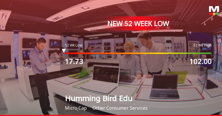 Humming Bird Education Ltd Falls to 52-Week Low of Rs.16.9