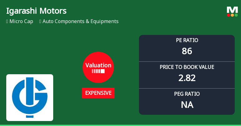 Igarashi Motors India Ltd Valuation Shifts Signal Price Attractiveness Concerns
