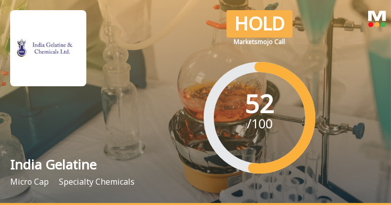 India Gelatine & Chemicals Ltd Upgraded to Hold on Technical and Financial Improvements