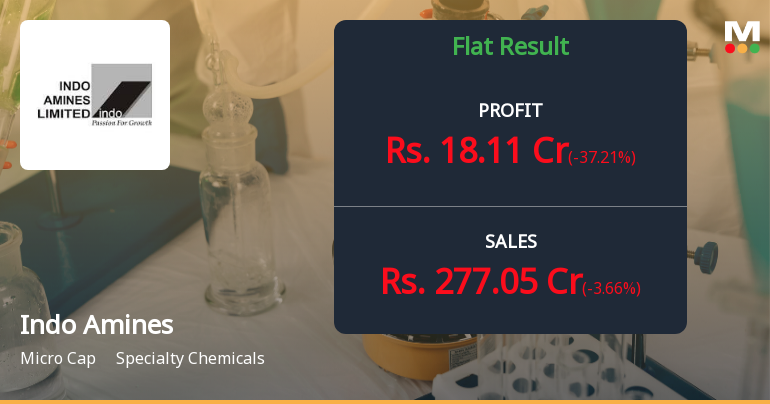 Indo Amines Q2 FY26: Profit Surge Masks Margin Volatility Amid Chemical Sector Headwinds