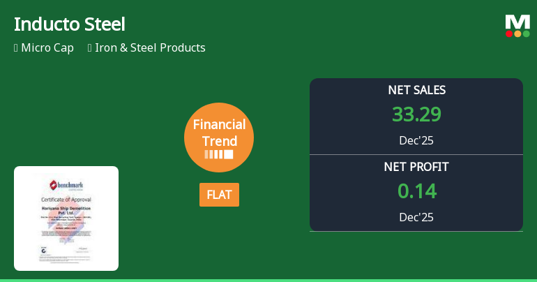 Inducto Steel Ltd Reports Flat Quarterly Performance Amid Mixed Financial Trends