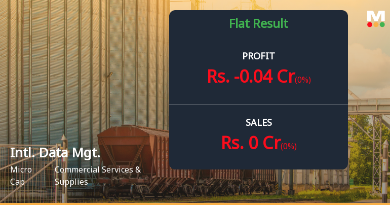 International Data Management Ltd: A Dormant Shell with Zero Revenue and Mounting Losses