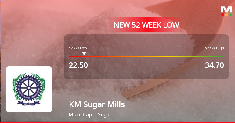 KM Sugar Mills Ltd Stock Falls to 52-Week Low Amid Continued Underperformance