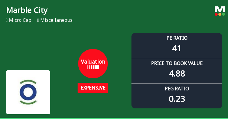 Marble City India Ltd Valuation Shifts Amid Market Downturn