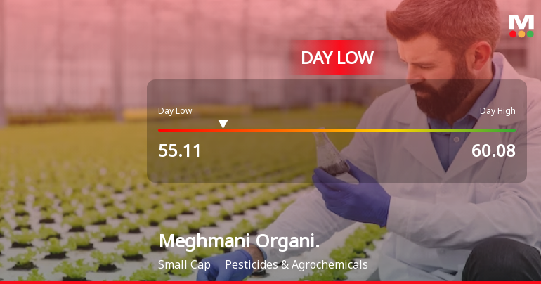 Meghmani Organics Ltd Hits Intraday Low Amid Price Pressure
