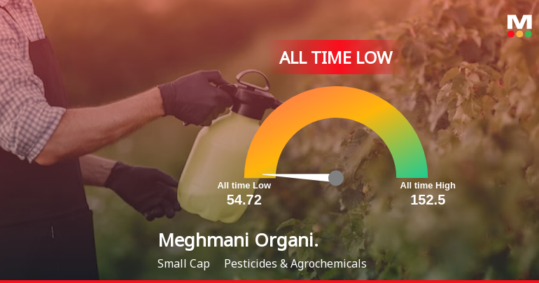 Meghmani Organics Ltd Hits All-Time Low Amid Continued Market Underperformance