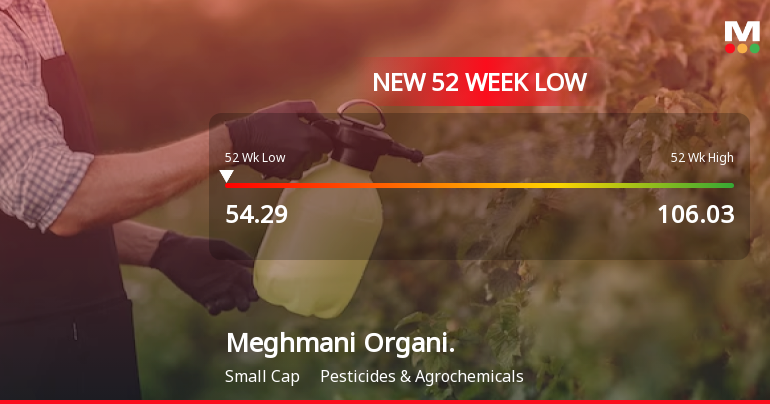 Meghmani Organics Ltd Stock Falls to 52-Week Low of Rs.54.43
